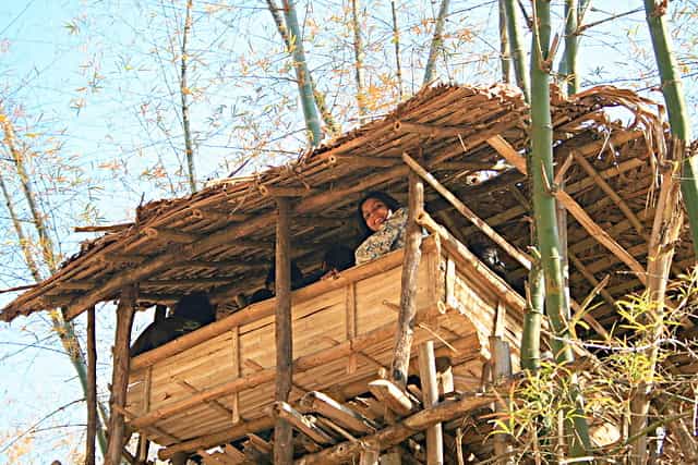 It-has-good-quality-river-side-cottages-as-well-as-Treetop-cottages-made-of-Bamboo