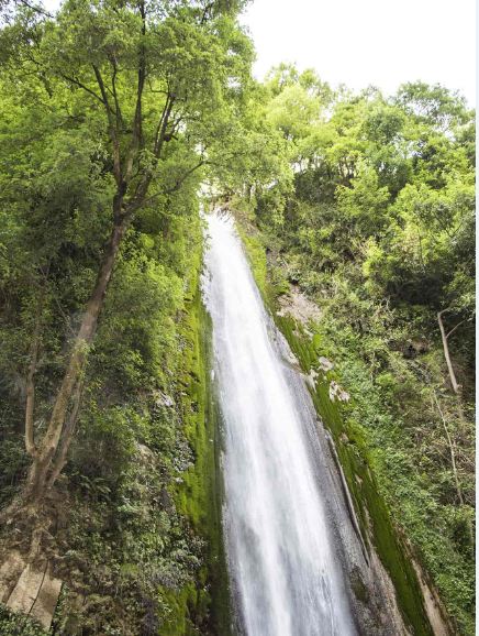 Tiger-Falls-is-a-sight-to-behold-as-they-cascade-down-from-a-height-of-312-feet-or-50-meters-is-one-of-the-best-places-to-visit-in-Dehradun 