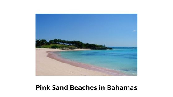 pink sand beach in Bahamas