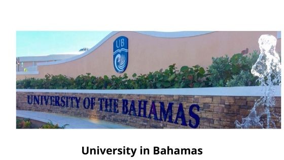 university in who owns the Bahamas