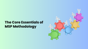 The Core Essentials of MSP Methodology
